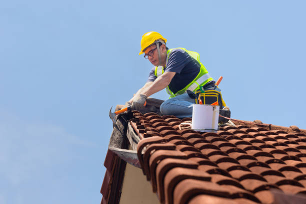 Best Cold Roofs  in Tinley Park, IL